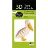 Modèle papier 3D pélican - Fridolin