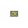 Set de toupies vert herbe - Handmade - Mader Kreiselmanufaktur