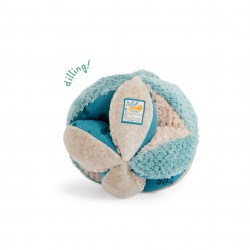 Sensory Ball