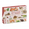 Domino-puzzle des animaux - Le Jardin - Moulin Roty