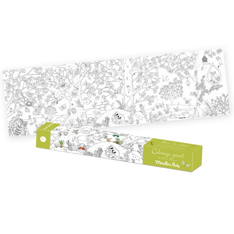 Poster zum ausmalen Botaniker - Le Jardin - Moulin Roty