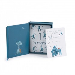 Cartes Mes 12 premiers mois italienne - Sous mon Baobab - Moulin Roty