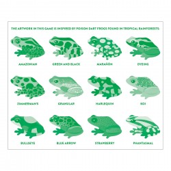 Shaped Memory Match Tropical Frogs