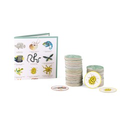Jeu de mémoire des animaux dès 4 ans - Moulin Roty