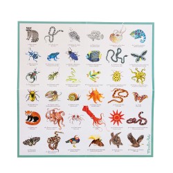 Jeu de mémoire des animaux dès 4 ans - Moulin Roty