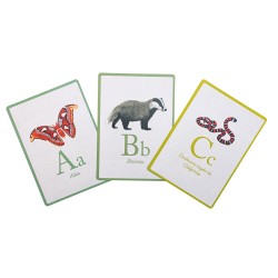 Karten Alphabet - Tout autour du monde - Moulin Roty