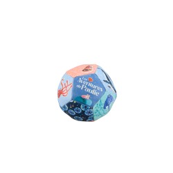 Ballon souple - Les aventures de Paulie - Moulin Roty