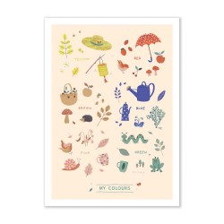 Poster Farben Englisch "Pommes des Bois" 70 x 50 cm
