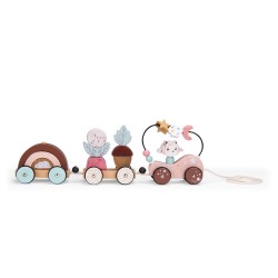 Train d'activités - Après la Pluie - Moulin Roty