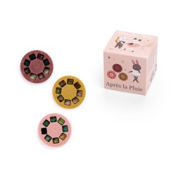 Boîtes de 3 disques pour lampe à histoires - Après la pluie - Moulin Roty