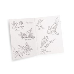 Boîte Oiseaux - Kit pédagogique à partir de 6 ans - Le Jardin - Moulin Roty