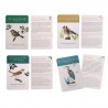 Boîte Oiseaux - Kit pédagogique à partir de 6 ans - Le Jardin - Moulin Roty