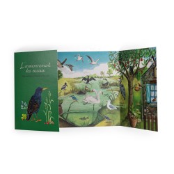 Boîte Oiseaux - Kit pédagogique à partir de 6 ans - Le Jardin - Moulin Roty