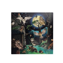 Boîte Oiseaux - Kit pédagogique à partir de 6 ans - Le Jardin - Moulin Roty