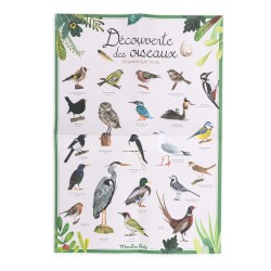 Boîte Oiseaux - Kit pédagogique à partir de 6 ans - Le Jardin - Moulin Roty