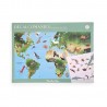 Décalcomanies - Carte du monde avec animaux - Moulin Roty