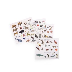 Décalcomanies - Carte du monde avec animaux - Moulin Roty
