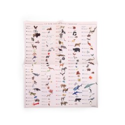 Rubbelbilder - Weltkarte mit Tieren - Moulin Roty
