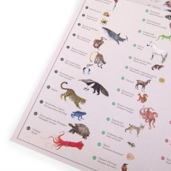 Moulin Roty, Weltkarte mit Tier Stickers