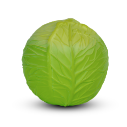Oli&Carol,  Green Cabbage Educational Ball