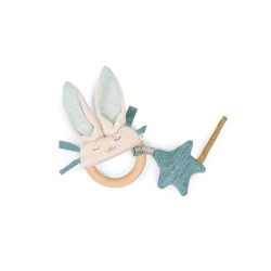 Ringrassel Kaninchen - La petite Ecole de danse - Moulin Roty