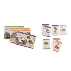 Coffret découverte Les animaux du jardin - Le Jardin - Moulin Roty