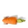 Oli&Carol - Cathy the carrot car - - Jouets de bain - Aide dentaire