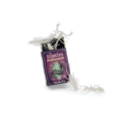 5 insectes phosphorescents pour jouer avec les enfants - Les Petites Merveilles - Moulin Roty