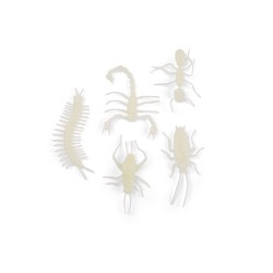 5 insectes phosphorescents pour jouer avec les enfants - Les Petites Merveilles - Moulin Roty
