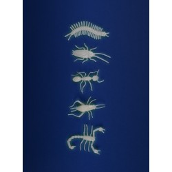 5 insectes phosphorescents pour jouer avec les enfants - Les Petites Merveilles - Moulin Roty