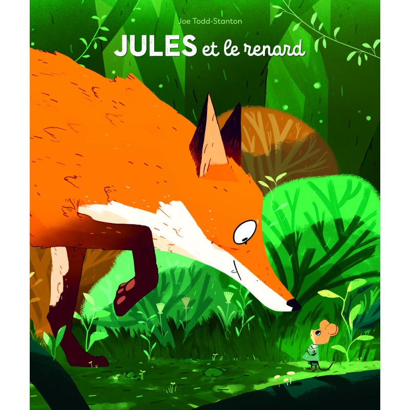 Livre Jules et le renard de Todd Stanton et Isabelle Reinharez - Moulin Roty