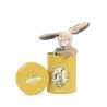 Plüschtier Kaninchen salbei in der Box - Lapin ocre - Trois petits Lapin - Moulin Roty