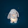Lapin lumineux - Puce & Pilou - Moulin Roty