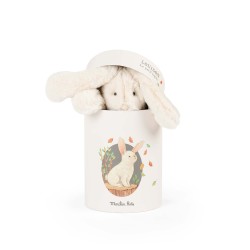 Peluche Lapin Louison dans la boîte  - Moulin Roty