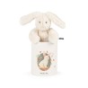 Plüschtier Kaninchen Louison in der Box - Moulin Roty