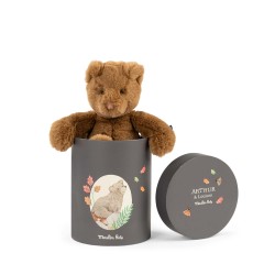 Peluche ours Arthur dans la boîte - Moulin Roty