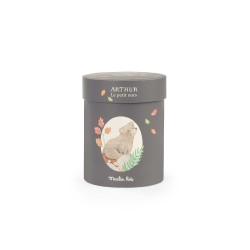 Kaninchen Louison in der Box - Moulin Roty