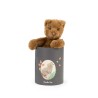 Plüschtier Bär Arthur in der Box - Moulin Roty