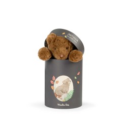 Peluche ours Arthur dans la boîte - Moulin Roty