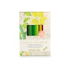 12 crayons de couleur avec cartes le botaniste - Jardin du moulin - Moulin Roty