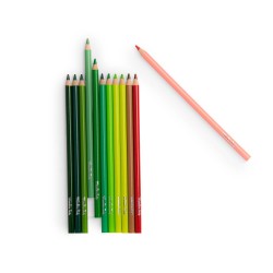 12 crayons de couleur avec cartes le botaniste - Jardin du moulin - Moulin Roty