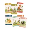 12 crayons de couleur avec cartes le botaniste - Jardin du moulin - Moulin Roty