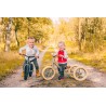Trybike Steel 2 in 1 vintage grau matt - Laufrad vintage