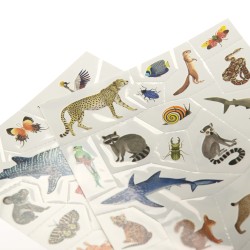 Tatouages - Tout autour du monde - Moulin Roty