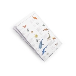 Jeu Cherche et Trouve - Tout autour du monde - Moulin Roty