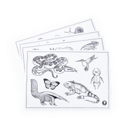 Tablette lumineuse Kidywolf - Tout Autour du Monde - Moulin Roty