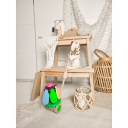 Fleur d'arc-en-ciel multicolore sur le styleen bois - Bajo