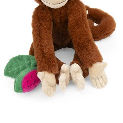 Aktivitäte Affe Mochica - Moulin Roty