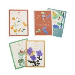 Cartes Mes 12 premiers mois italienne - La forêt Mawa - Moulin Roty