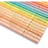 Boîte métal 50 crayons pastels - Les Rosalies - Moulin Roty